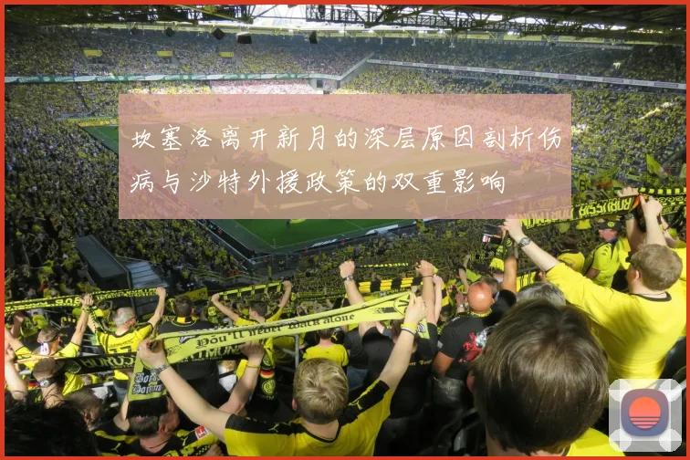 坎塞洛离开新月的深层原因剖析伤病与沙特外援政策的双重影响