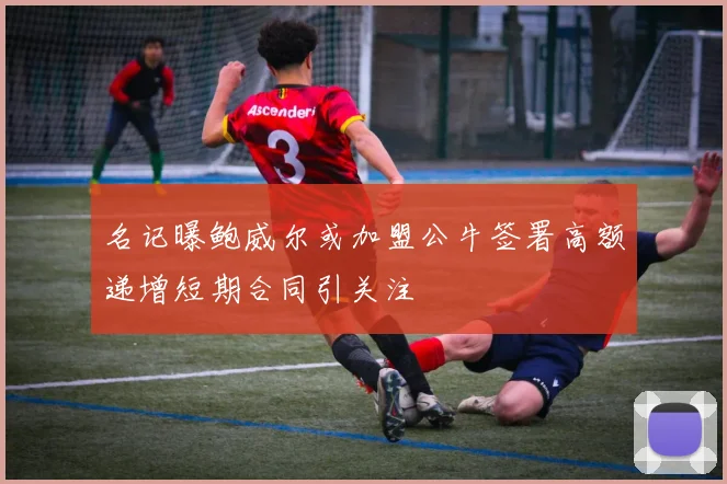 名记曝鲍威尔或加盟公牛签署高额递增短期合同引关注