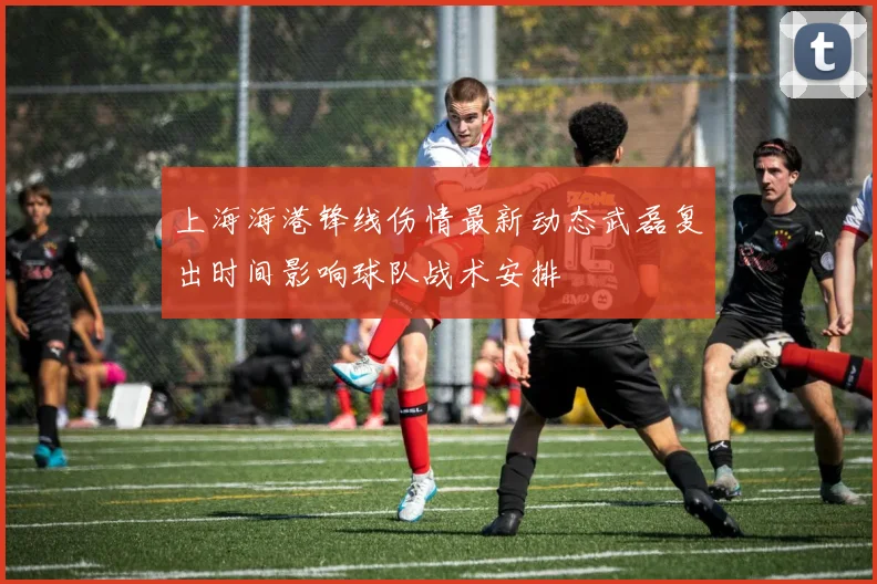 上海海港锋线伤情最新动态武磊复出时间影响球队战术安排