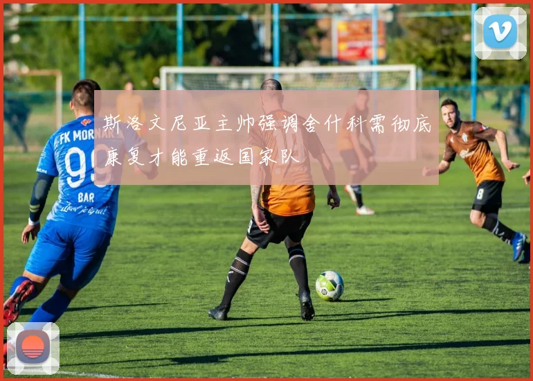 斯洛文尼亚主帅强调舍什科需彻底康复才能重返国家队